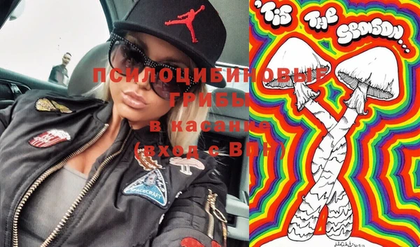 шишки Аркадак