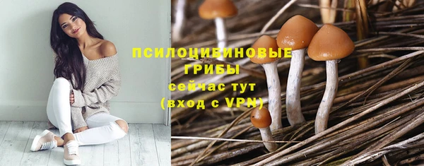 шишки Аркадак