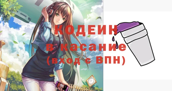 шишки Аркадак
