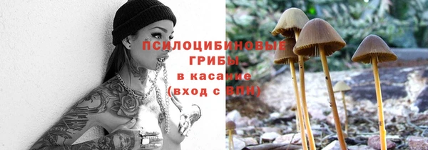 шишки Аркадак